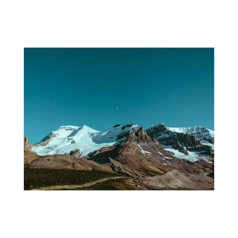 Synergistic Leather Watch fr-FR